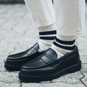 Cavallant