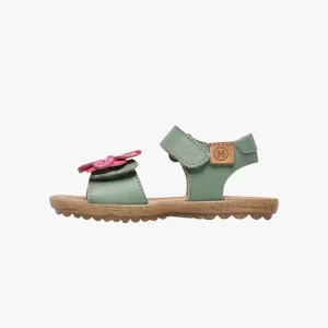 Sneakers Naturino BEGONIA 2
